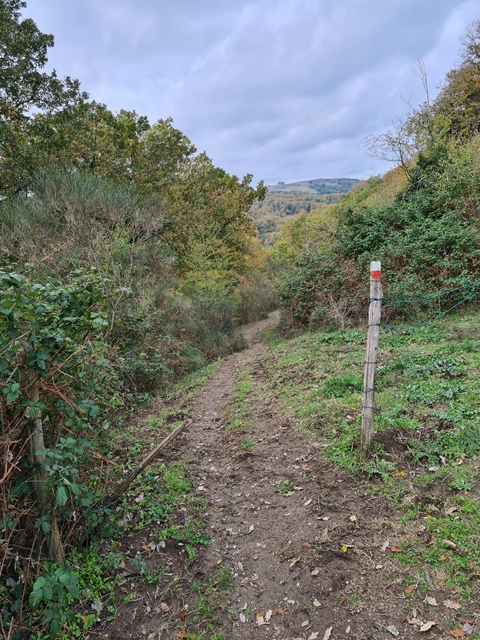 Contributo fotografico dei Guardiaparco Paolo Meschini e Paolo Verucci