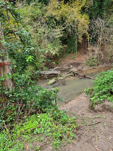 Contributo fotografico dei Guardiaparco Paolo Meschini e Paolo Verucci