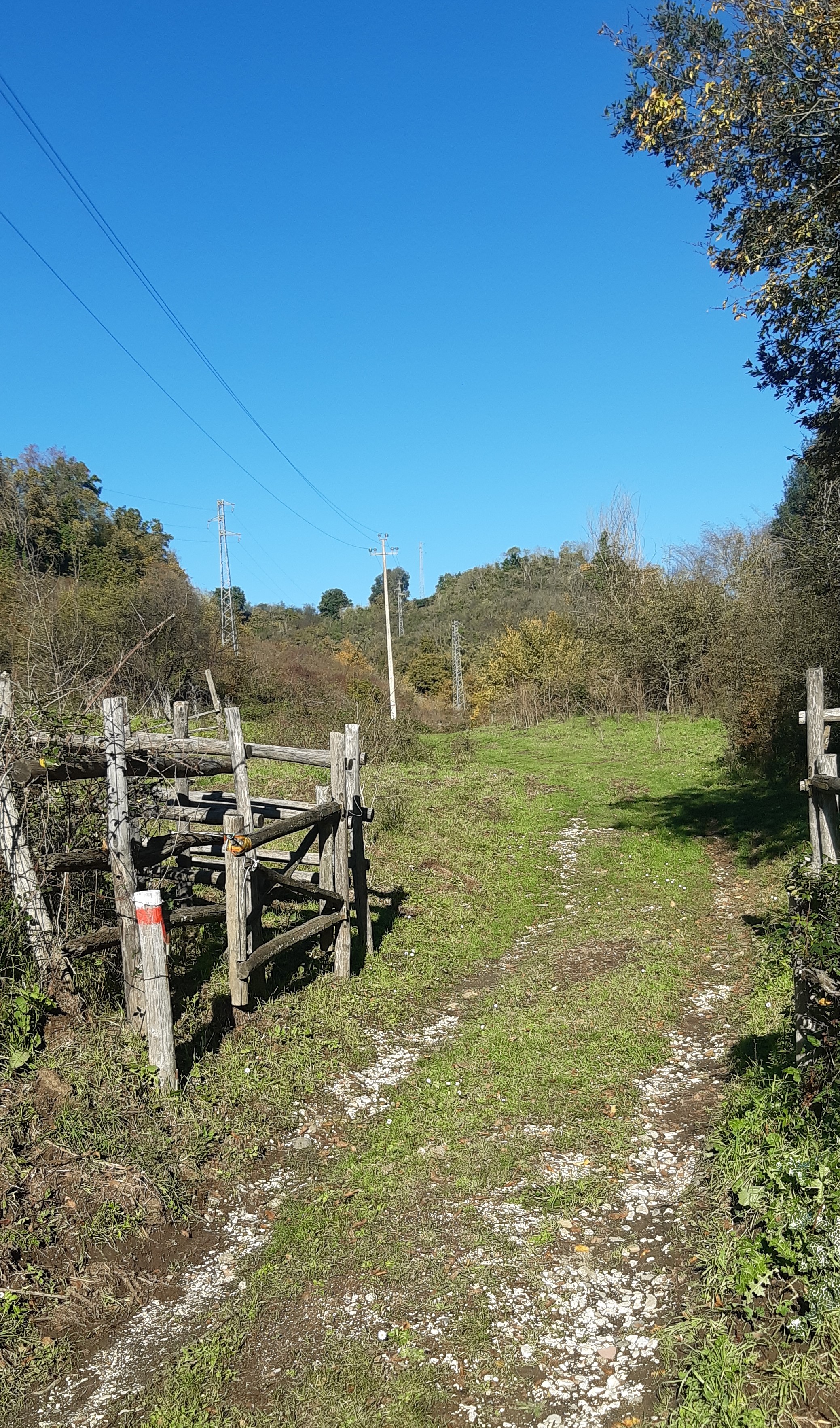 Contributo fotografico dei Guardiaparco Paolo Meschini e Paolo Verucci