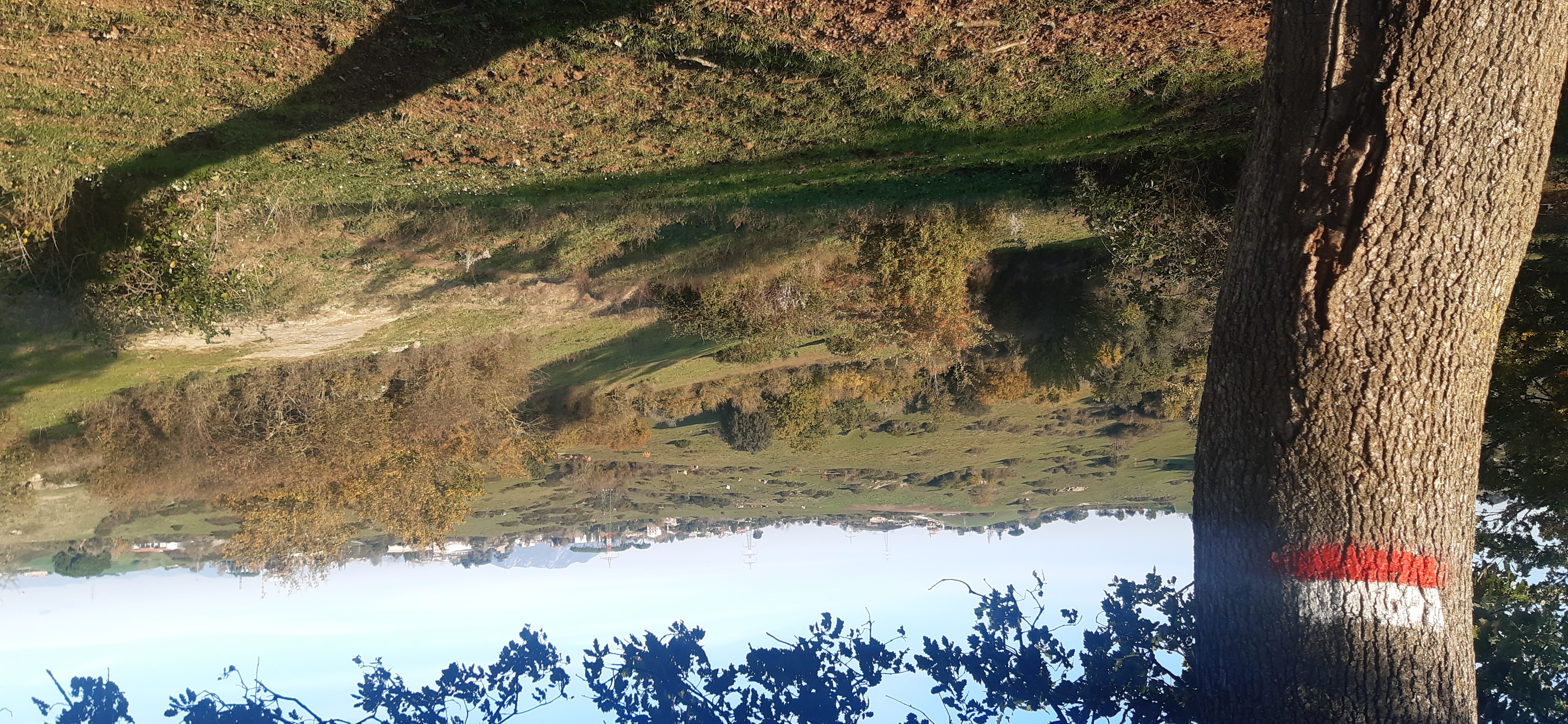 CAI 210a Ostello (Morlupo) - Via Aldo Moro (Morlupo)