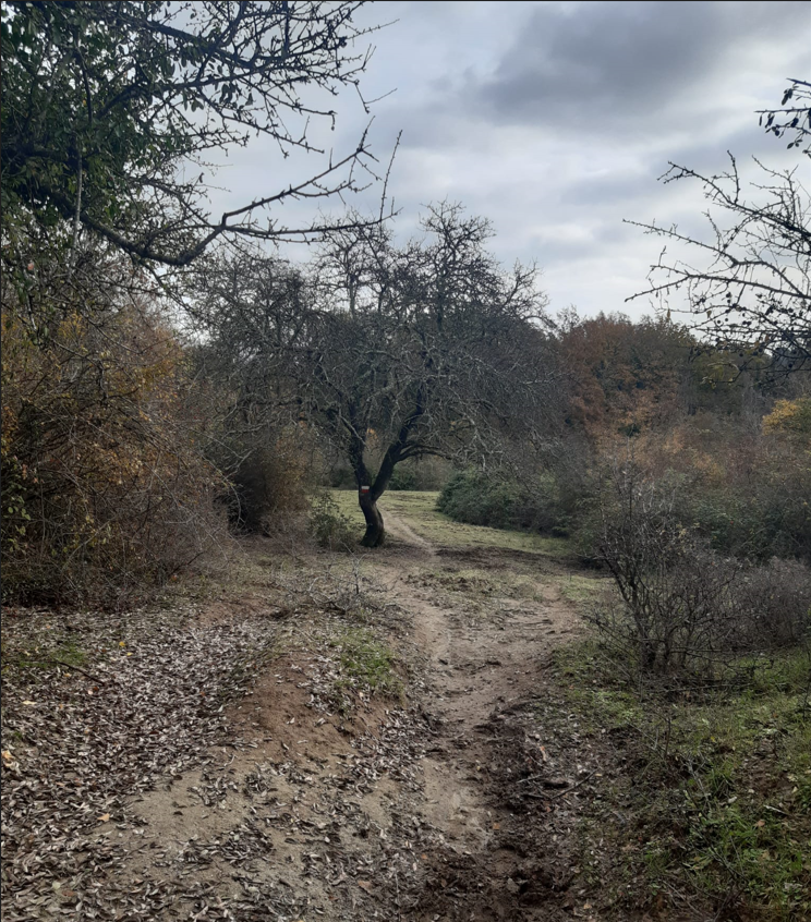 Contributo fotografico dei Guardiaparco Paolo Meschini e Giuseppe Frazzano