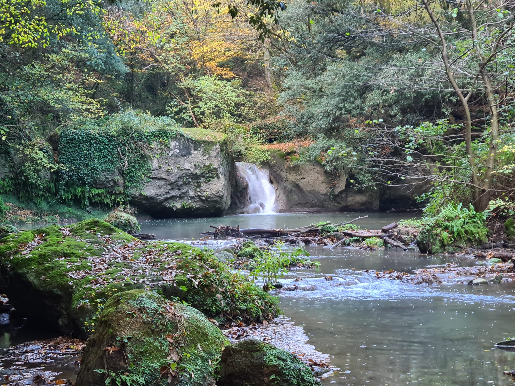 Contributo del Comandante dei Guardiaparco Fabio Neri