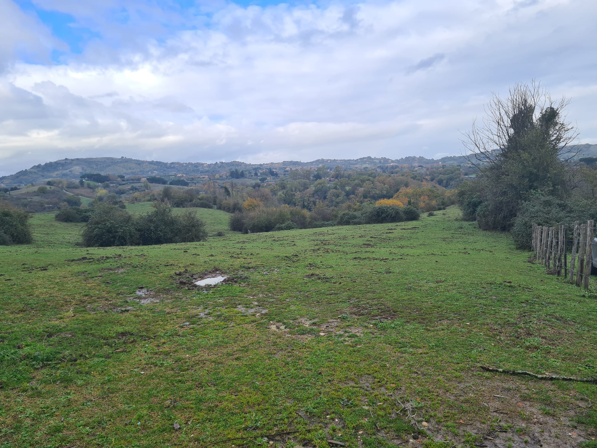 Contributo fotografico del Responsabile dei Guardiaparco Fabio Neri