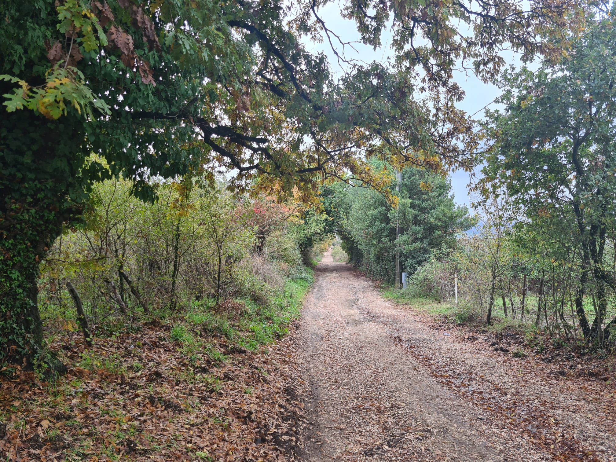 Contributo fotografico del Responsabile dei Guardiaparco Fabio Neri