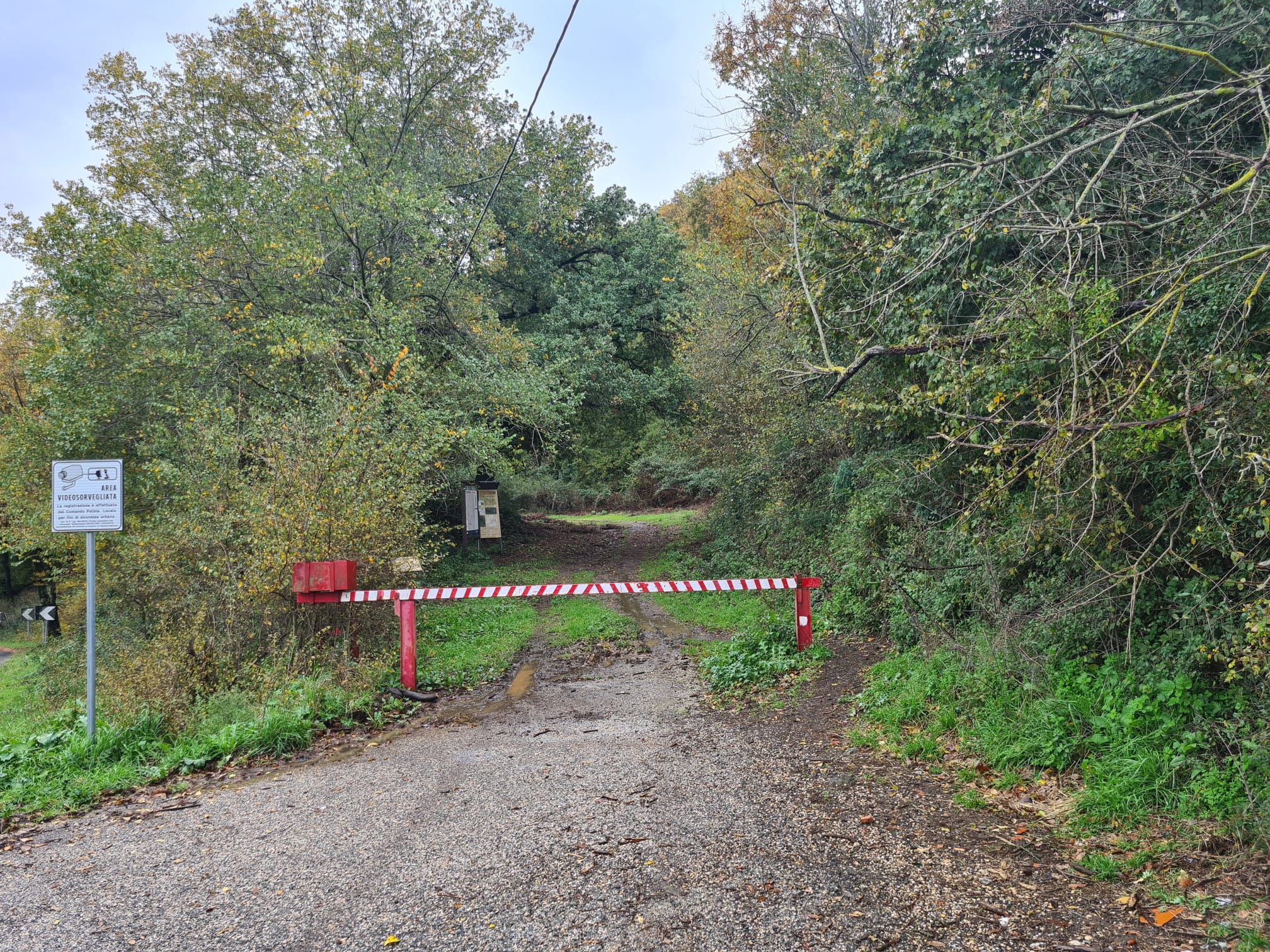 Contributo fotografico del Responsabile dei Guardiaparco Fabio Neri