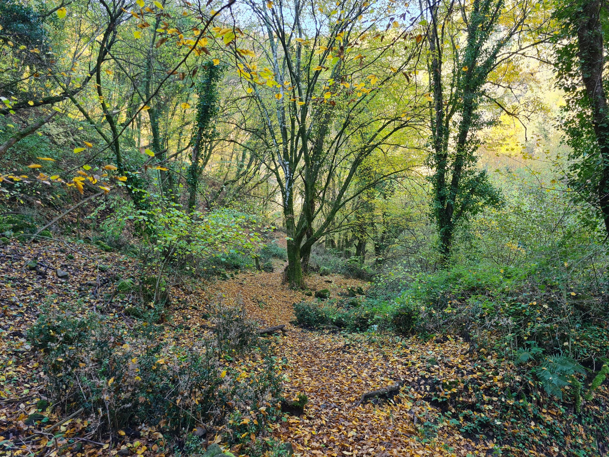 Contributo fotografico del Responsabile dei Guardiaparco fabio Neri