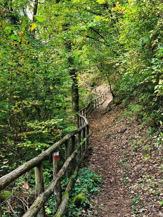 Foto Teresa Di Cosimo