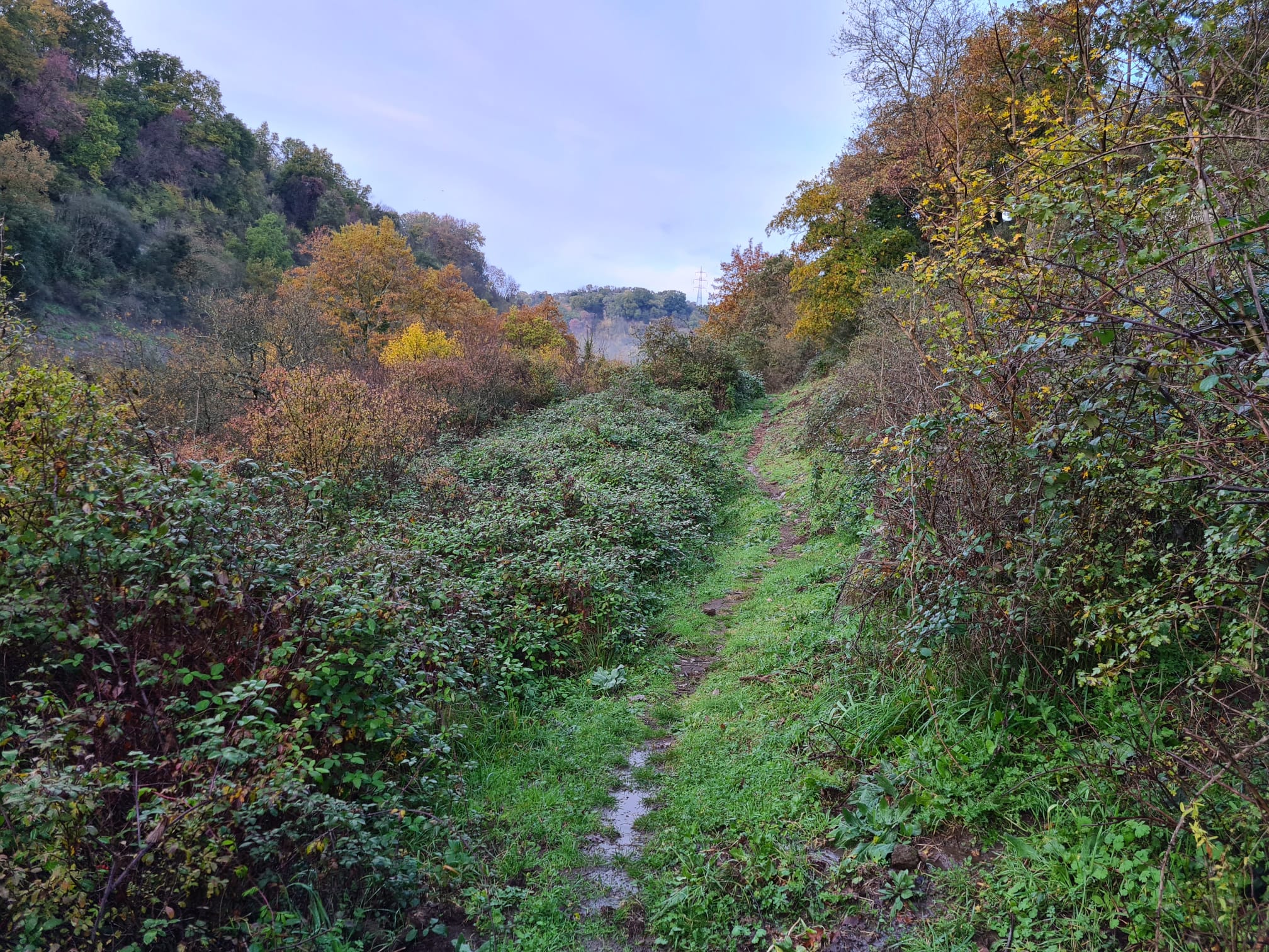 Contributo fotografico del Responsabile dei Guardiaparco Fabio Neri