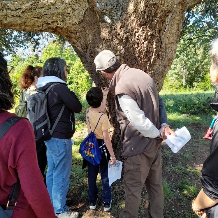 Alla scoperta della vita nel legno morto