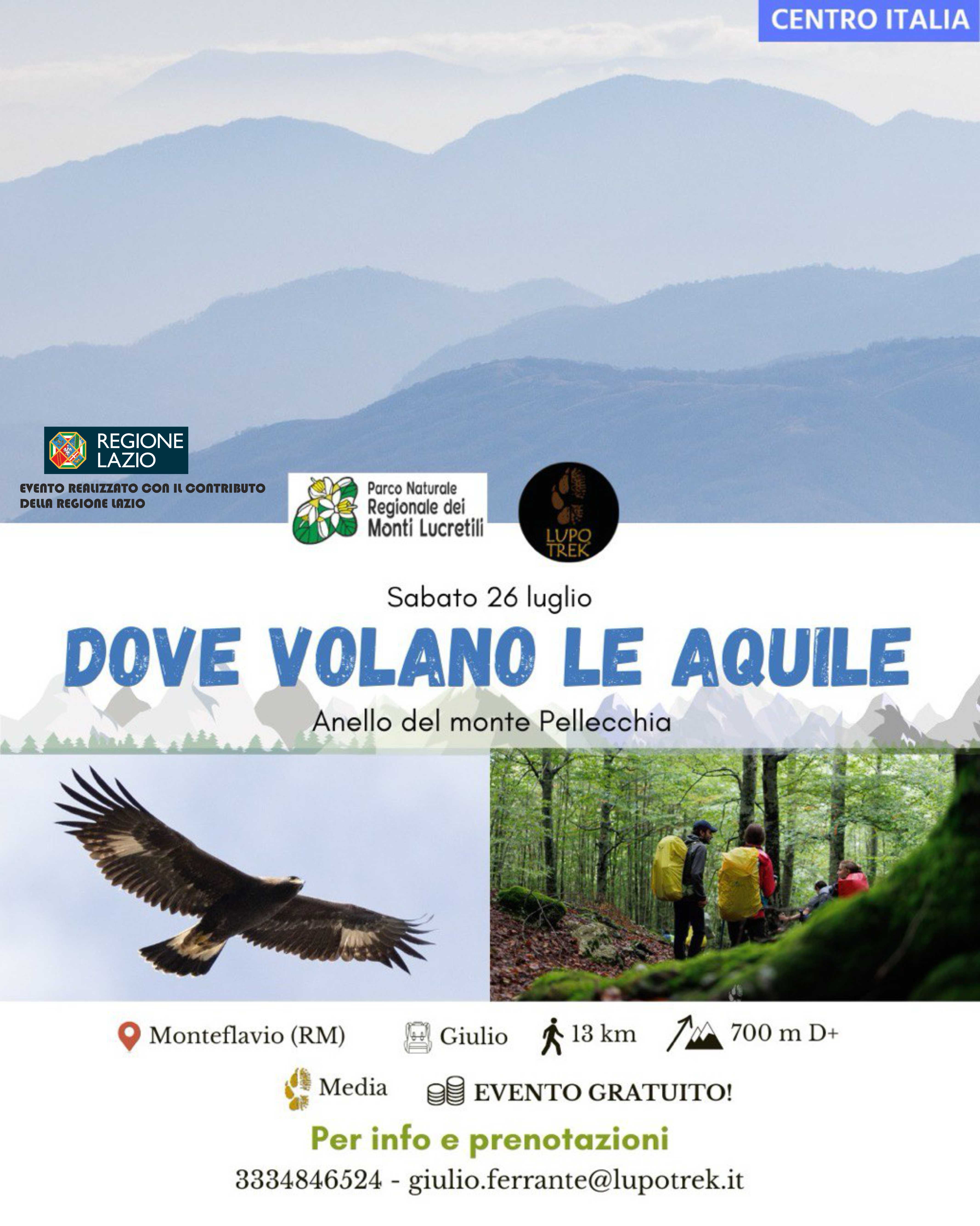 DOVE VOLANO LE AQUILE