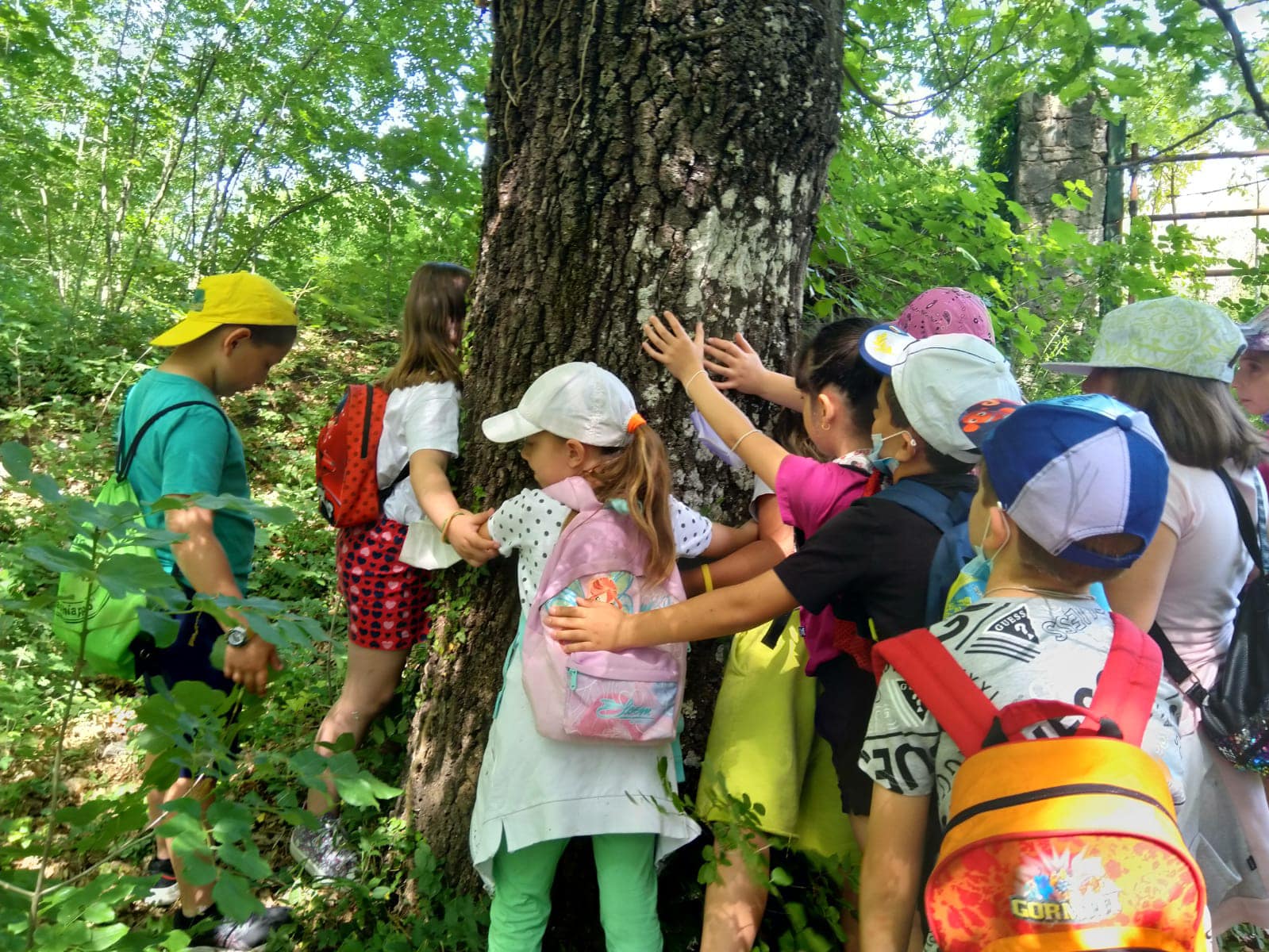 Tante le iniziative per la nuova edizione del Progetto di Educazione Ambientale