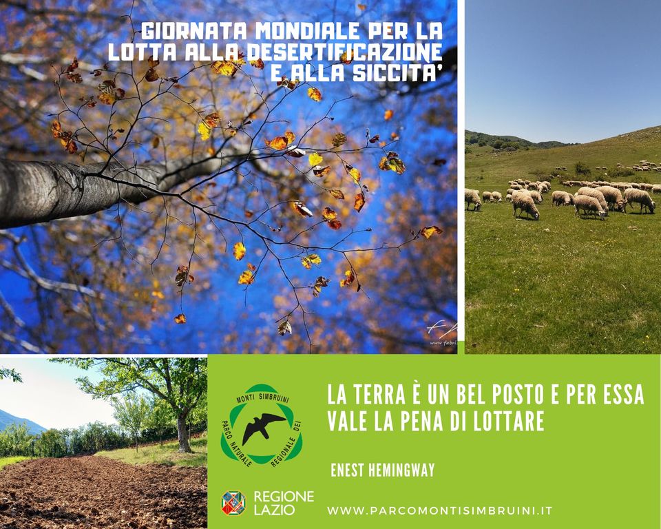 Giornata Mondiale per la lotta alla desertificazione e alla siccità.