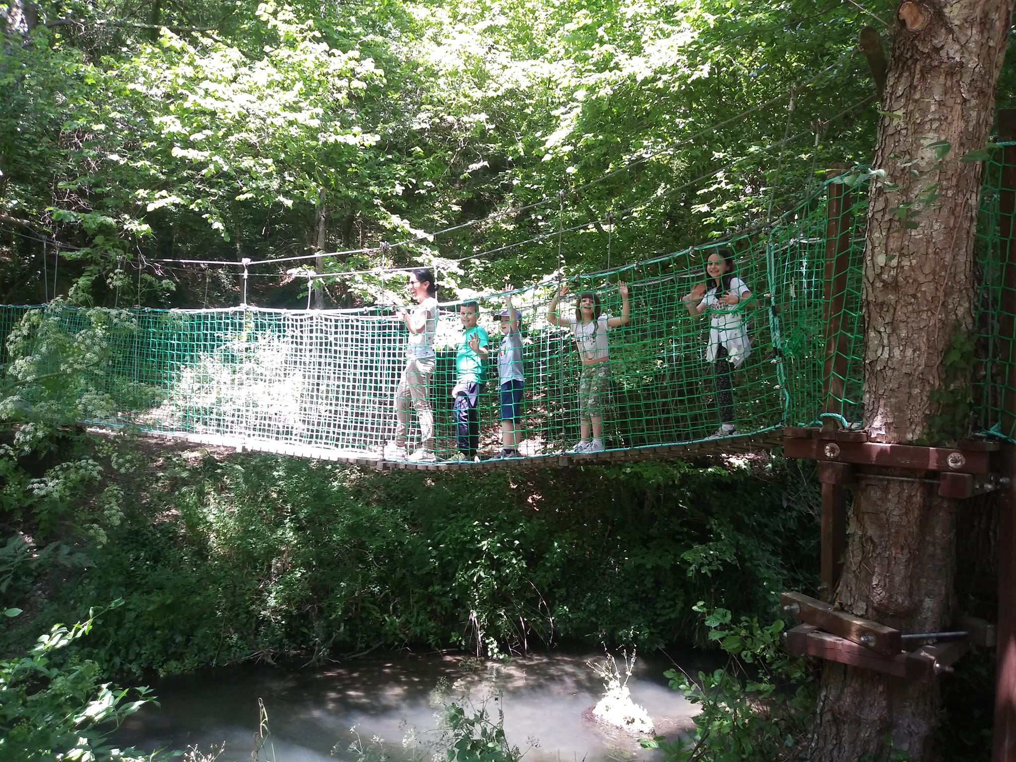 Foto Teresa Di Cosimo