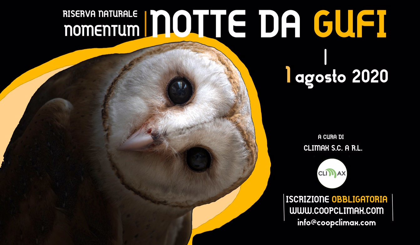 Uscita naturalistica volta alla conoscenza dei rapaci notturni
