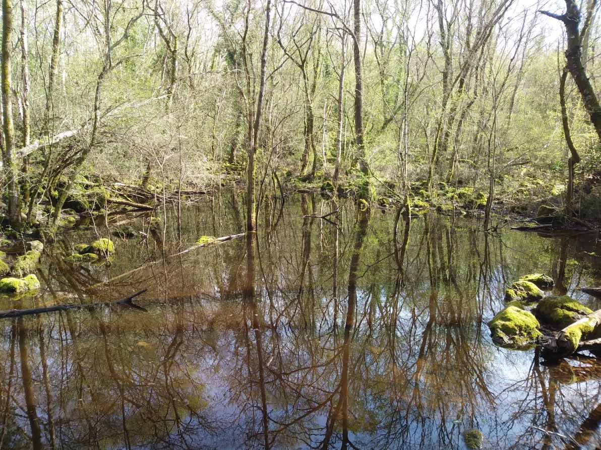 3 - Sentiero dei Lacioni