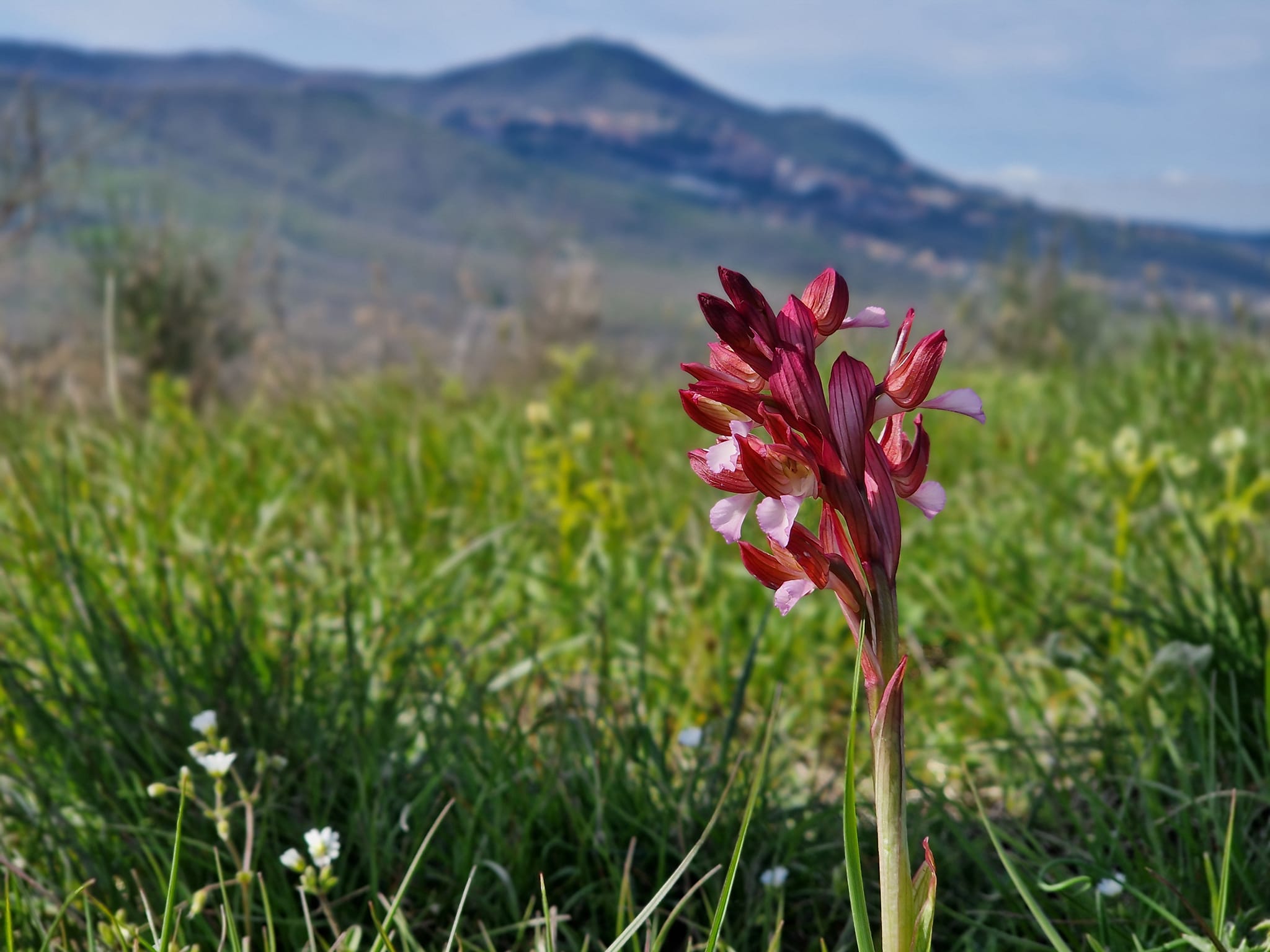 Aria di primavera nei parchi del Lazio