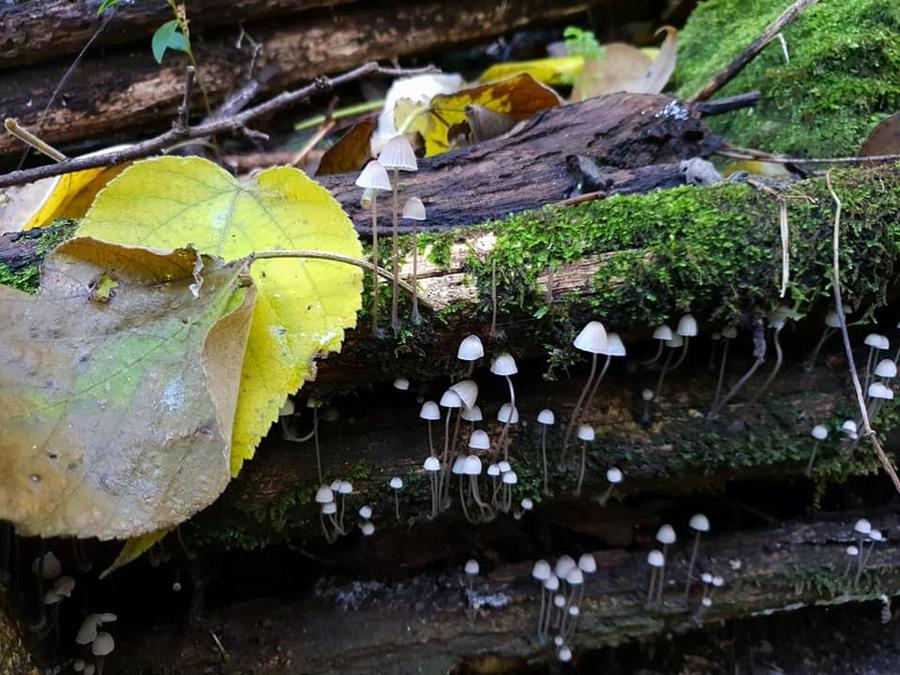 Autunno - foto Lucia Scaturro