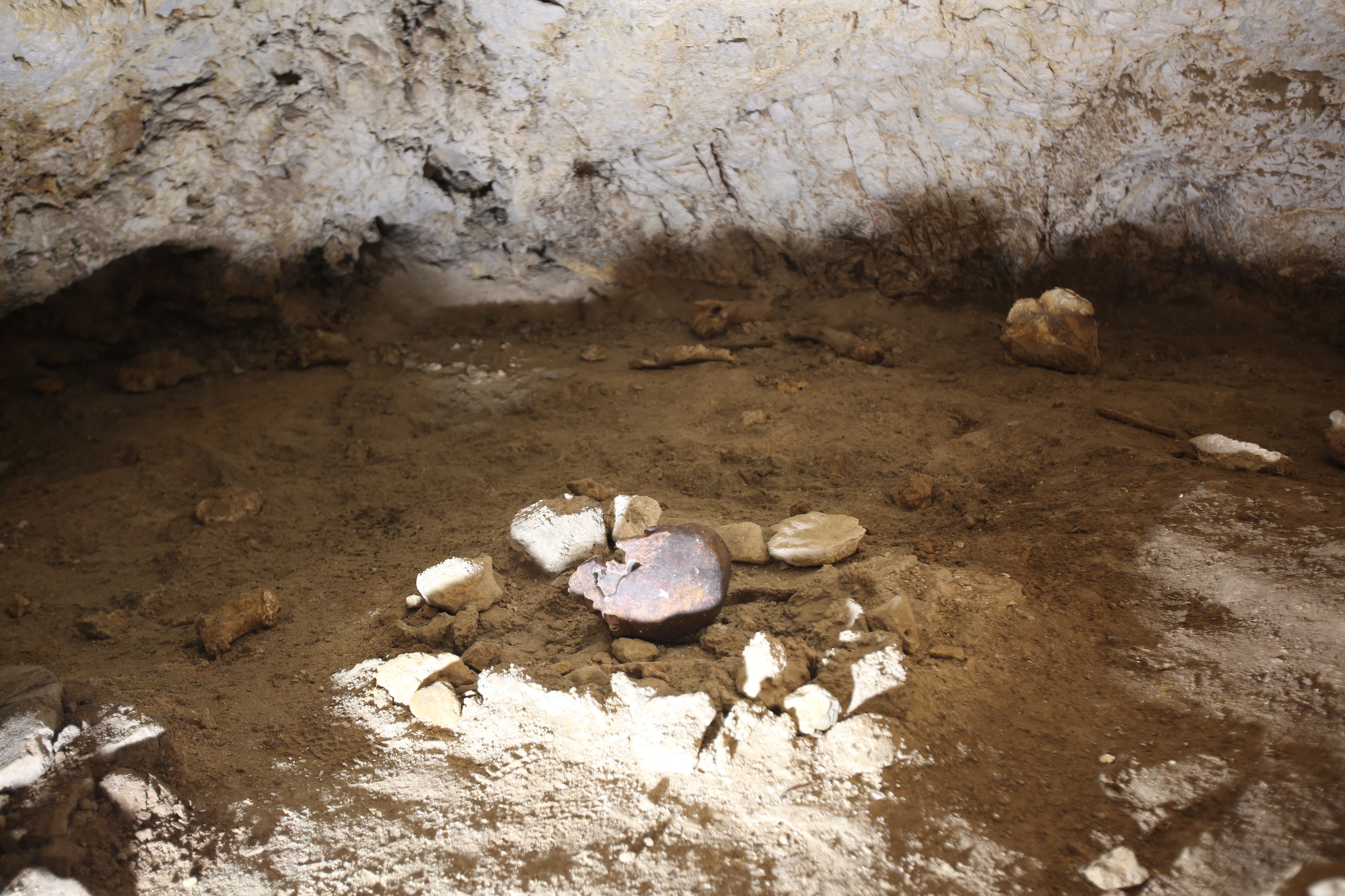 8-Ritrovamenti neanderthaliani nella Grotta Guattari