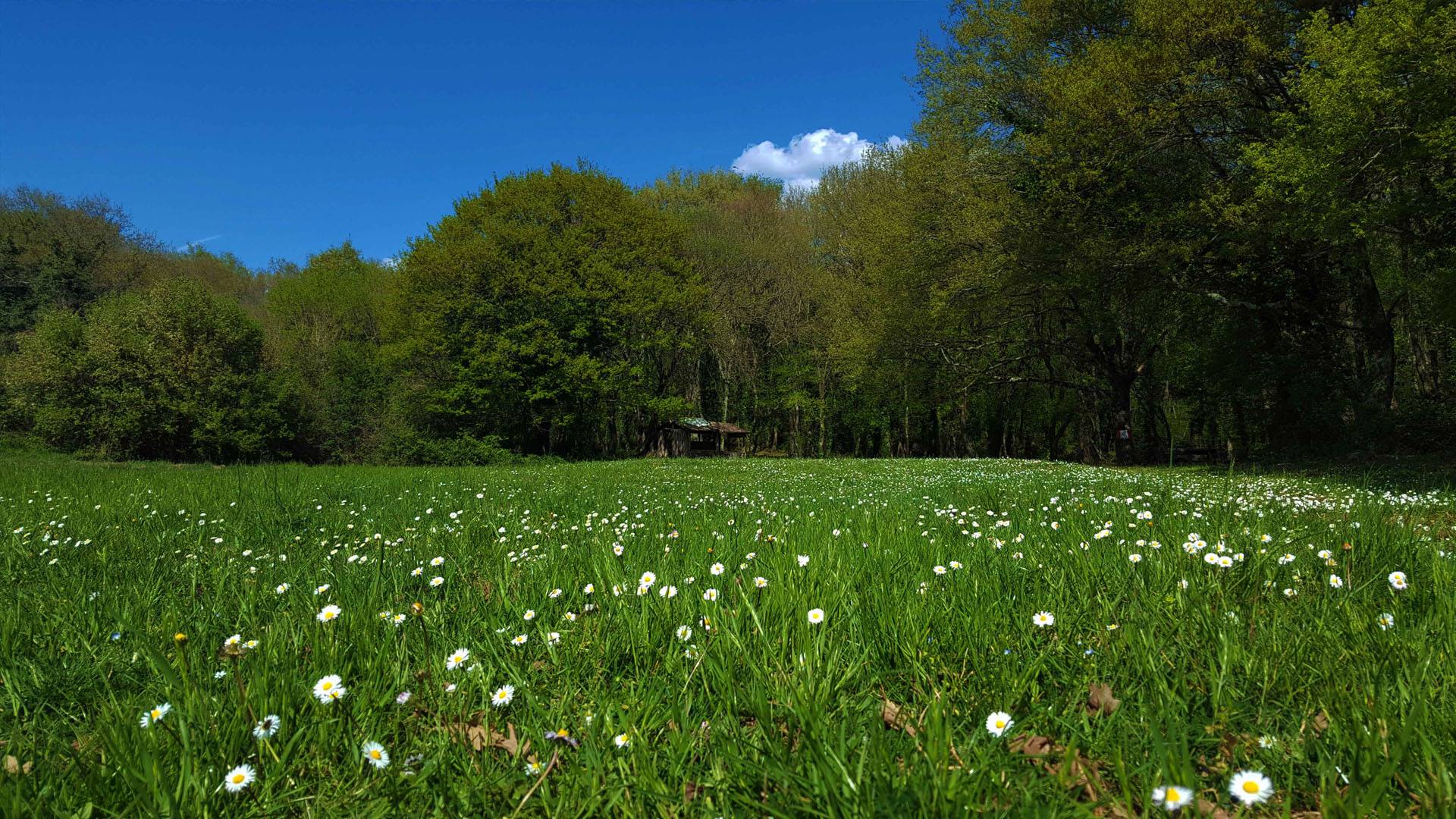 👉BARBECUE IN RISERVA👈