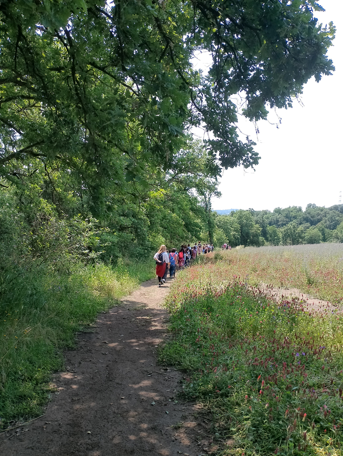 Foto Teresa Di Cosimo