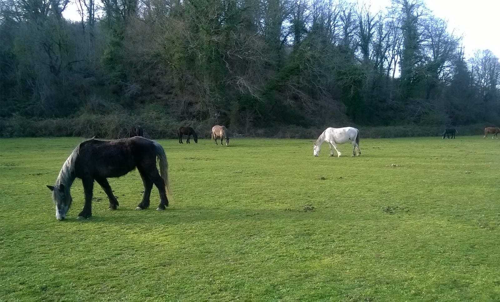 Caccia al tesoro fotografica
