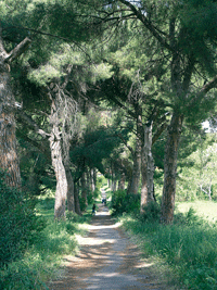 Giorniverdi - Il vento e l'aquilone - Parco Regionale Urbano di Aguzzano (Ente Regionale RomaNatura)