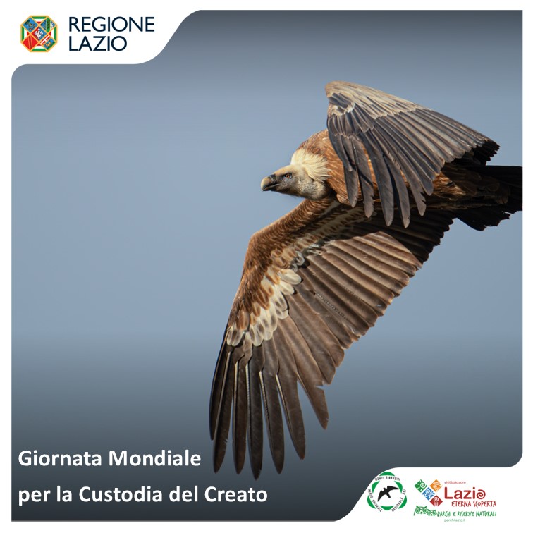 Giornata Mondiale per la Custodia del Creato