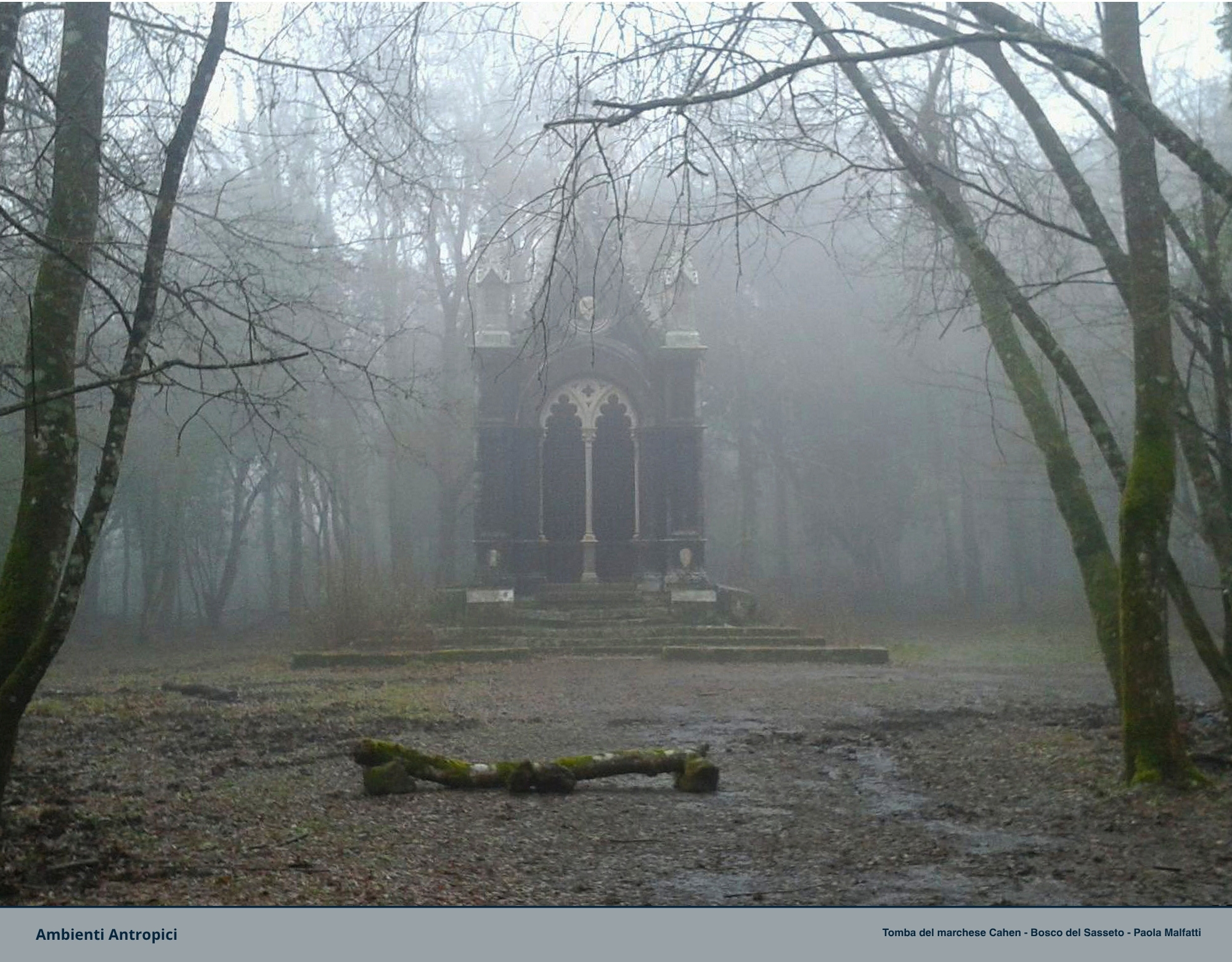 Visite guidate al Monumento Naturale Bosco del Sasseto