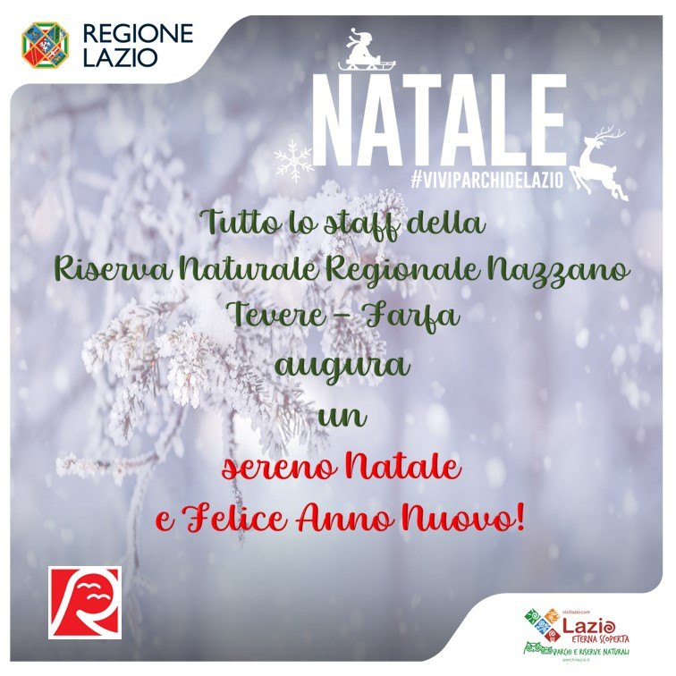 AUGURI DI NATALE