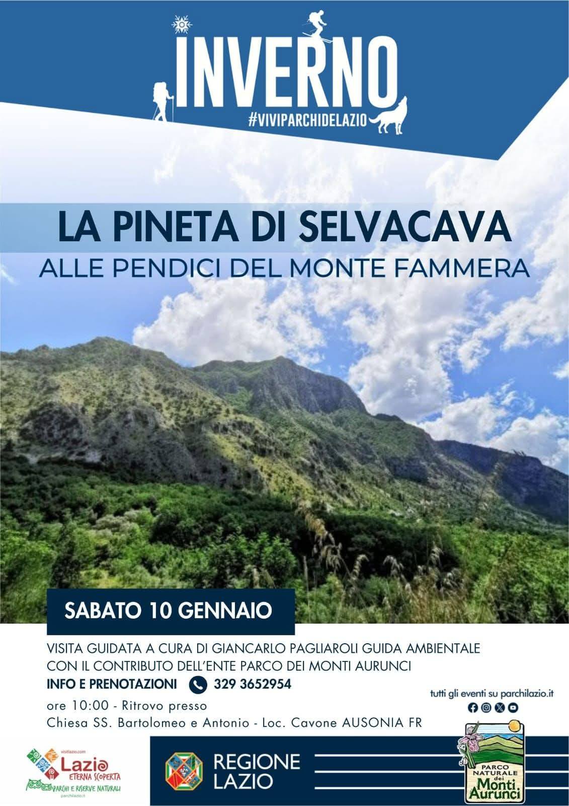 Inverno #ViviParchideLazio - La Pineta di Selvacava