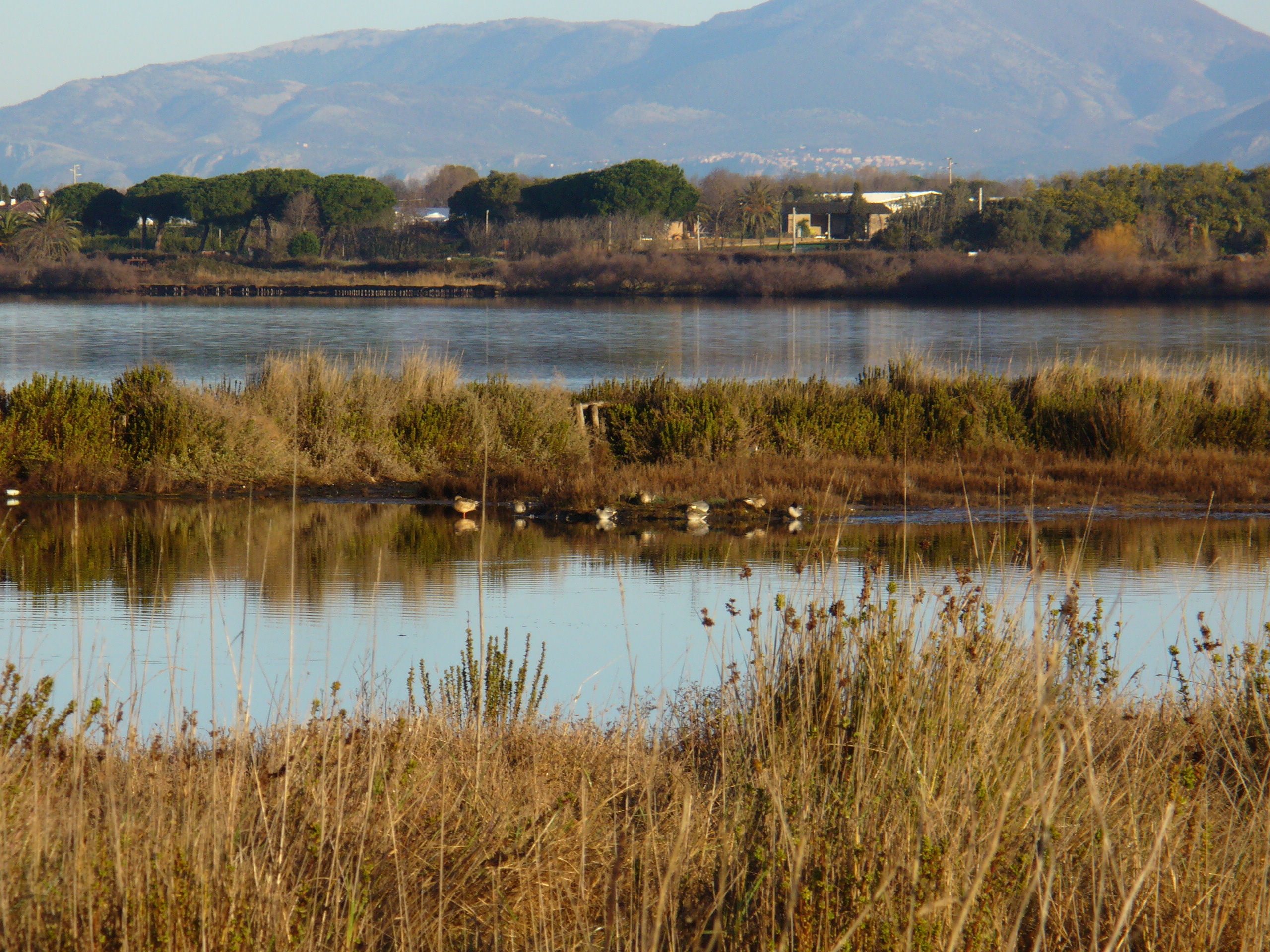 Bando di mobilità esterna - Parco Nazionale del Circeo