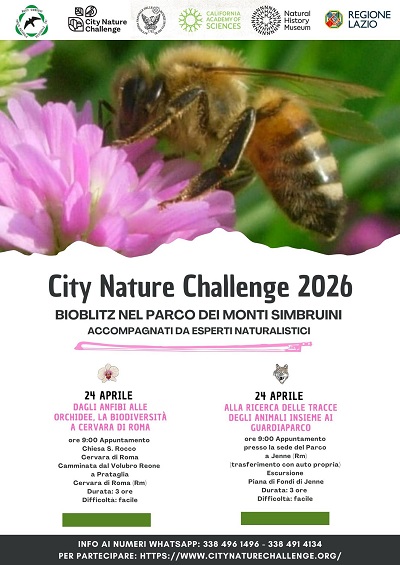 City Nature Challenge 2026