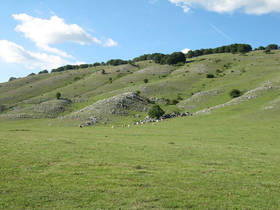 Altopiano di Camposecco foto di: D. Serafini