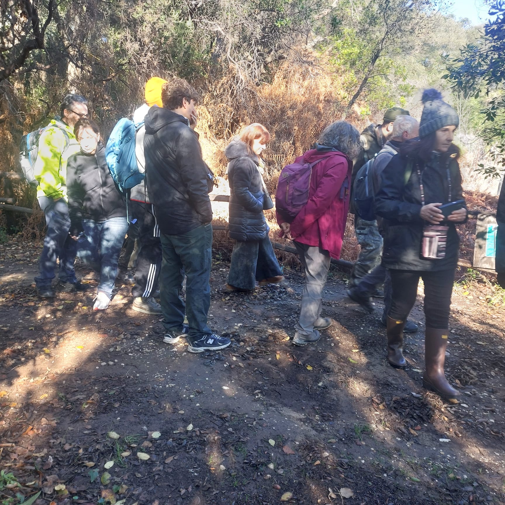Passeggiata d'Inverno