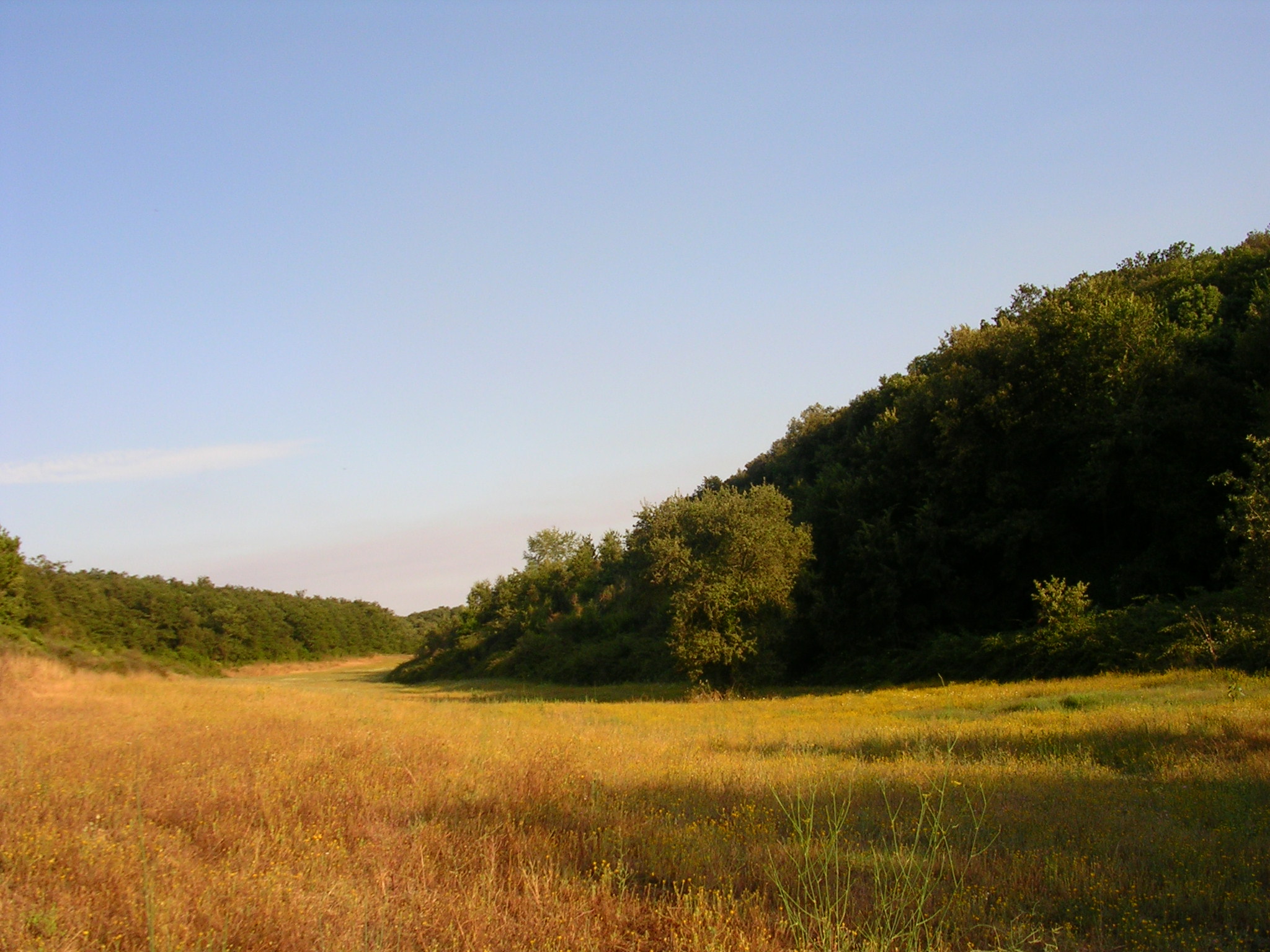 R.N. Litorale Romano-Dolce Primavera a Passoscuro