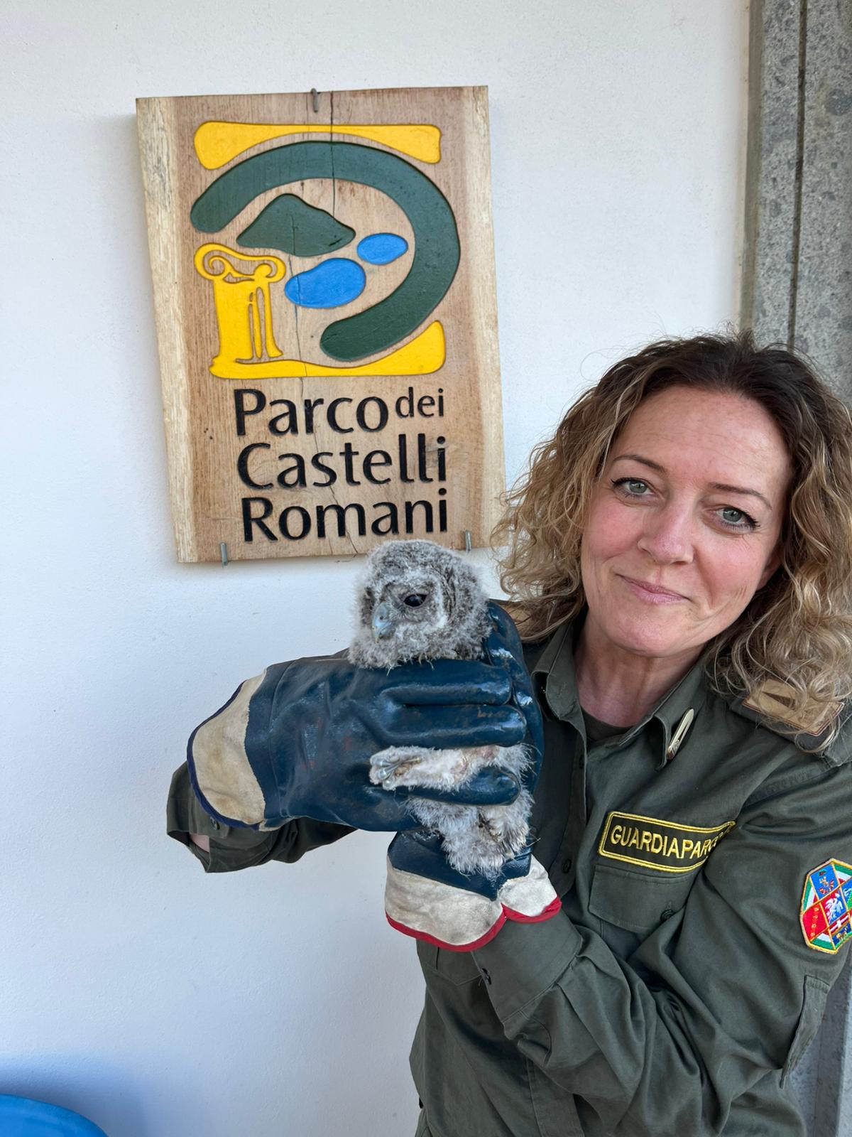 Pullo di allocco recuperato dai Guardiaparco