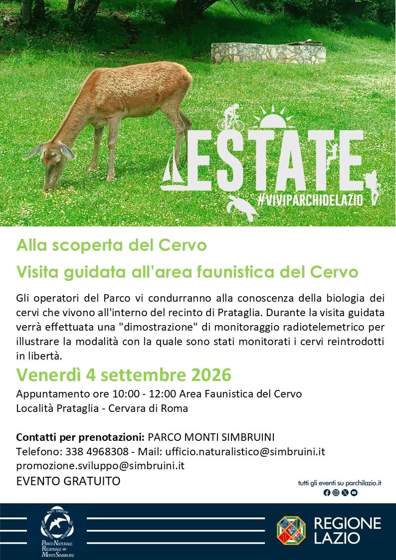 Alla scoperta del Cervo