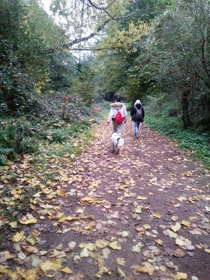 Foto Teresa Di Cosimo