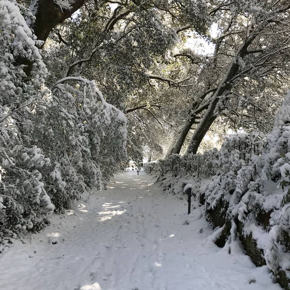 IL RITORNO DEL SOL INVICTUS