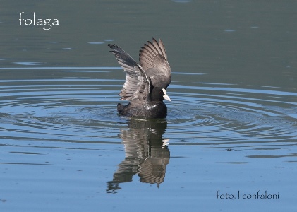 Progetto MonITRing – aggiornamenti