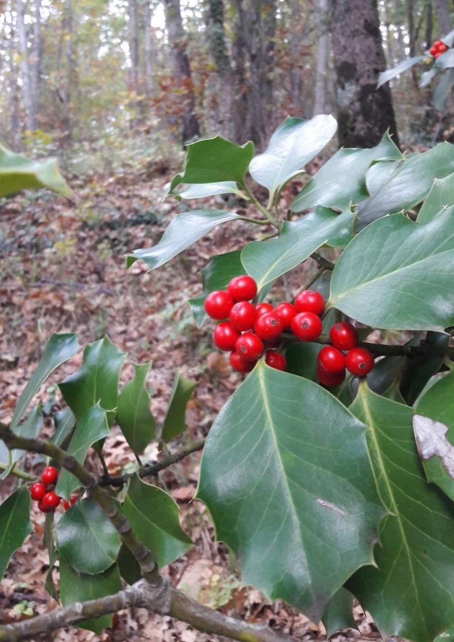 Verso un 2026 di opportunità