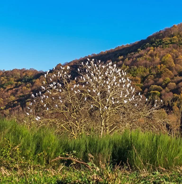 Foto di Stefano Mancinelli