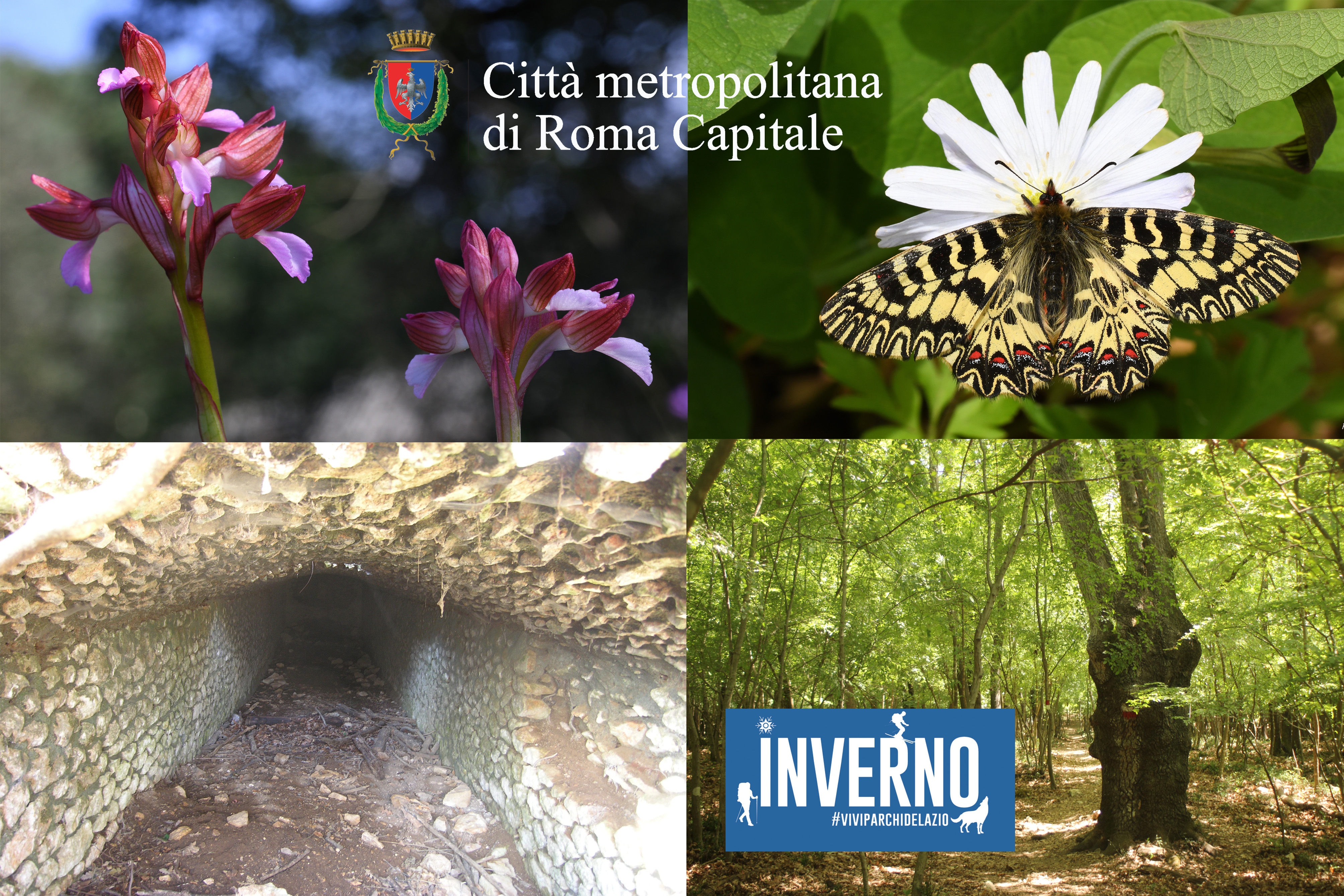 Domenica 30 marzo: alla scoperta del bosco di Gattaceca