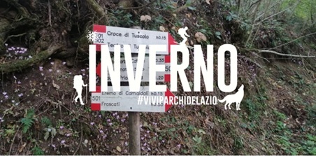 Alla Scoperta di Monte Tuscolo