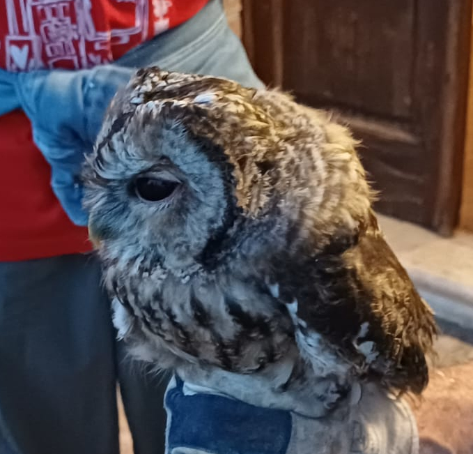Weekend di natura, stelle e cultura alla Riserva dei Laghi Lungo e Ripasottile