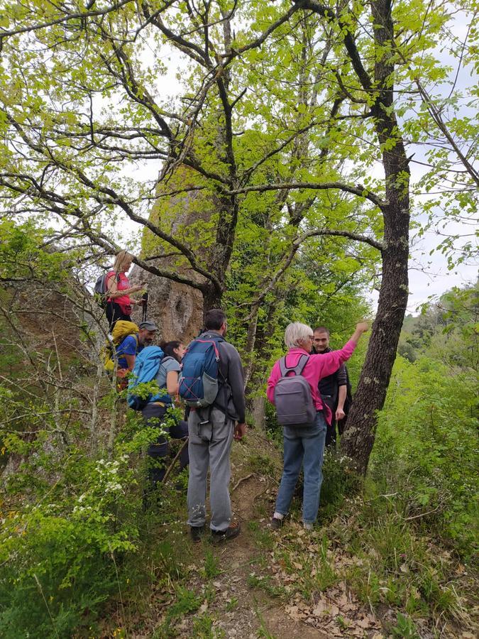 Foto Amici del MAVNA