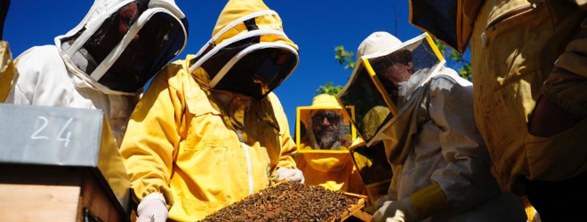 CORSO DI APICOLTURA DI BASE 2023 NEL PARCO NATURALE REGIONALE BRACCIANO-MARTIGNANO