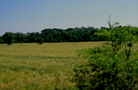 Giorniverdi - Il paesaggio dell'Acquafredda: ieri, oggi e domani - Riserva Naturale della Tenuta di Acquafredda