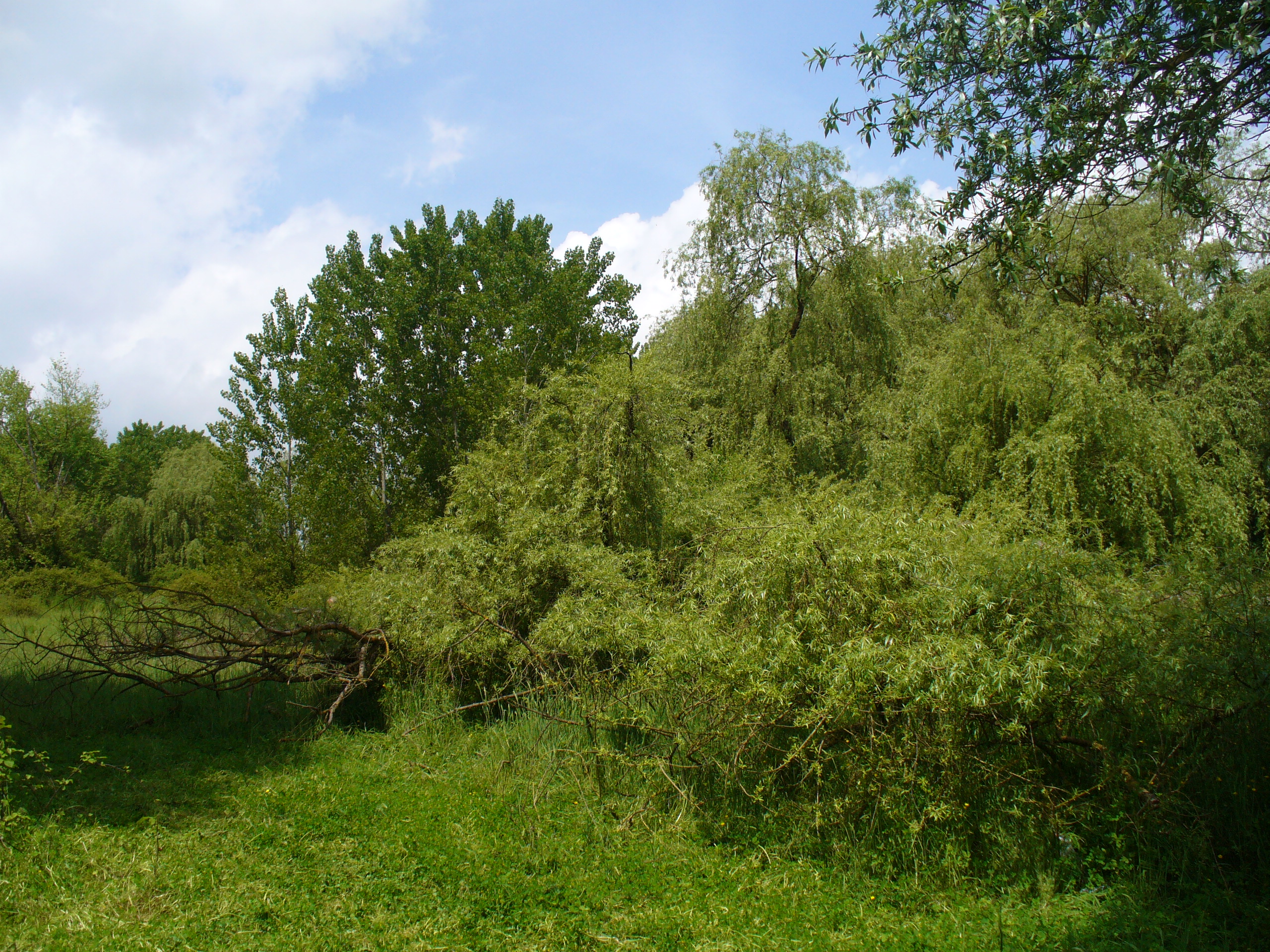 Mercato Natura in Campo al Monumento Naturale Selva di Paliano