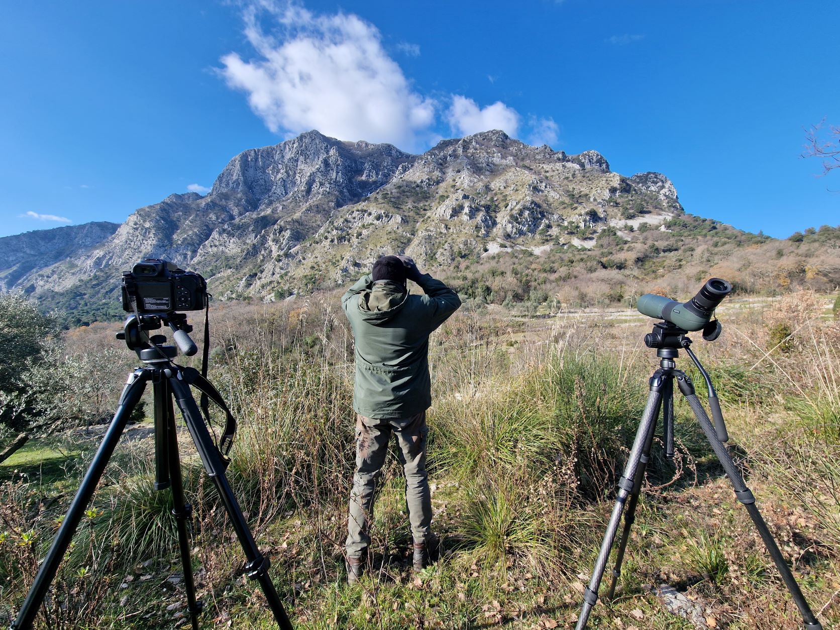 Monitoraggio dell'Aquila Reale